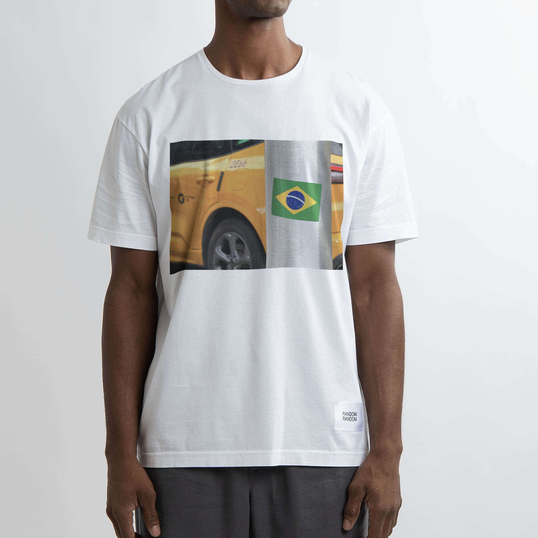WORLD CUP / BRAZIL